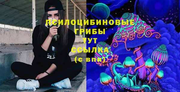 стафф Магадан