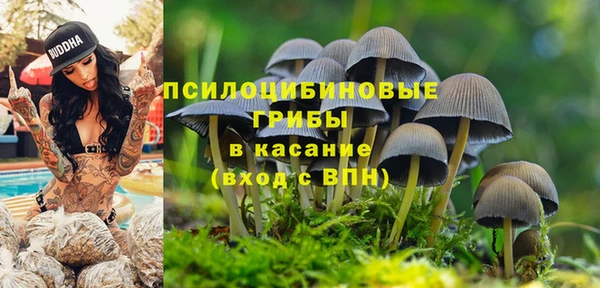 стафф Магадан