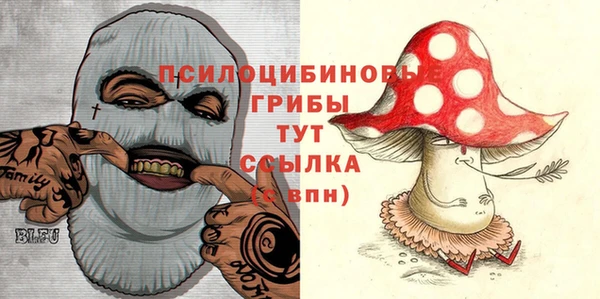 марки nbome Медвежьегорск