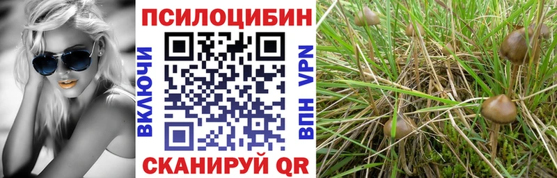Псилоцибиновые грибы мицелий Таруса